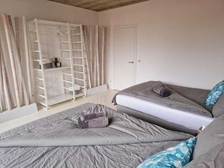 Ferienwohnung Exklusives Design-Penthouse Mc1 Seligenstadt Exterior foto